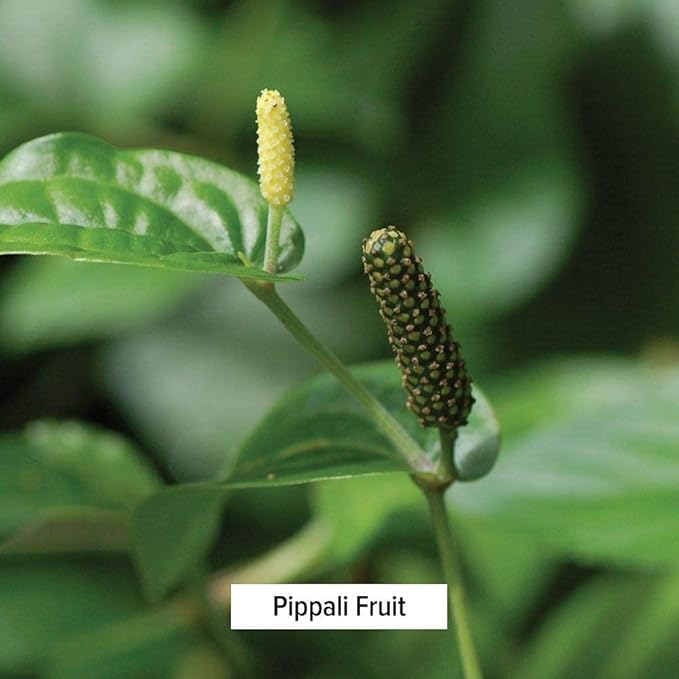 Banyan Botanicals Sitopaladi Churna Powder –