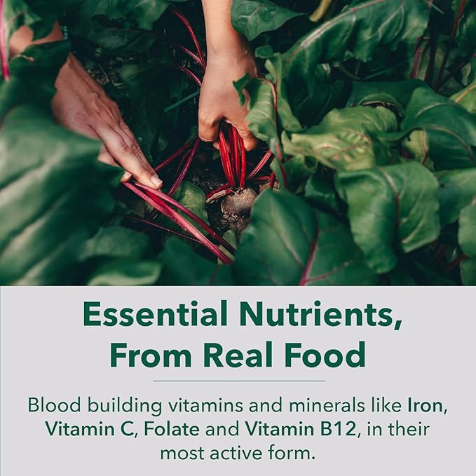 PlantFusion Vegan Iron Supplement for Women B12, Folate 60 Capsules