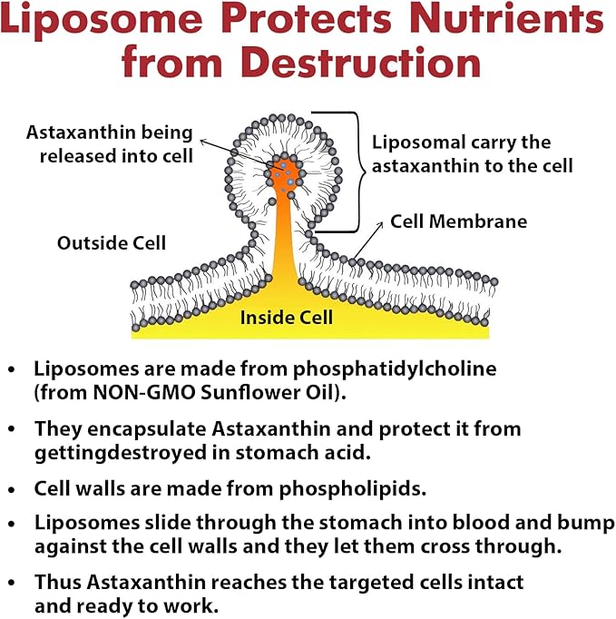 Liposomal 24mg Astaxanthin for MAX Absorption, 180 Softgels