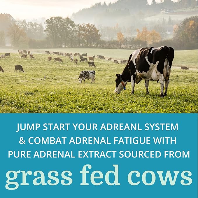 Adrenergy (3 Pack) Best Process Alkaline