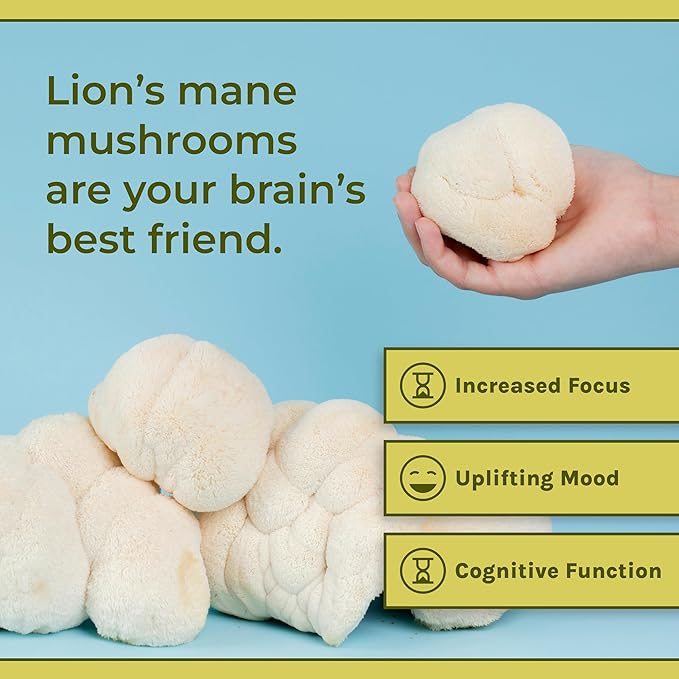 Naturealm - Lion's Mane Capsules - 90 Vegetarian 30-Day Supply