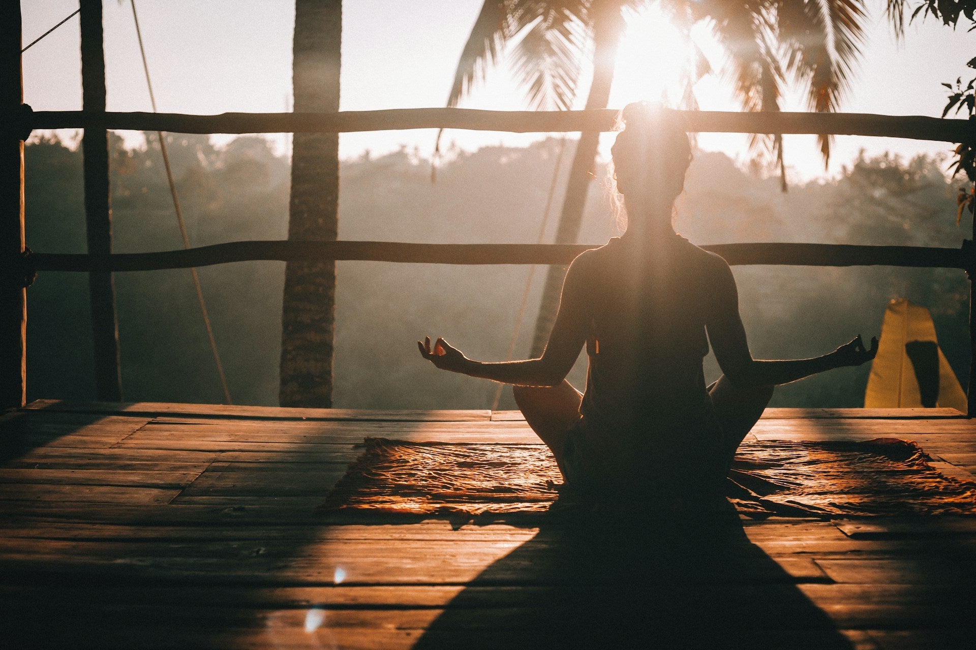 Boost Your Energy and Focus Without the Crash: Top 5 Supplements to Try