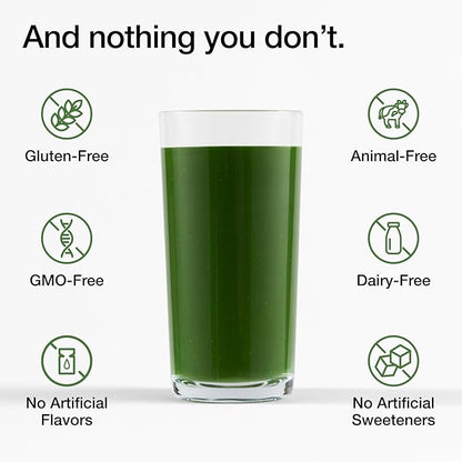 Huel Daily Greens Single Serve | Superfood Greens Powder | 91 Vitamins, Minerals, and Wholefood-Sourced Ingredients | Adaptogens, Antioxidants, Gut-Friendly Probiotics | 12 Pack…