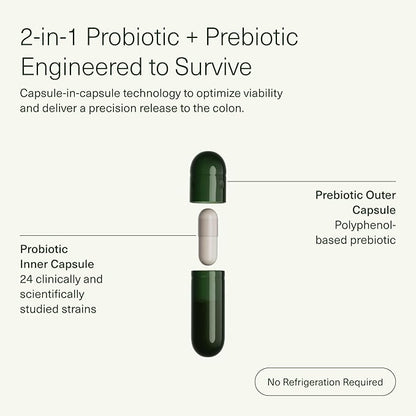 Seed DS-01 Daily Synbiotic - Prebiotic and Probiotic for Women & Men - Digestive Health, Gut Health, Immune Support, Bloating & Constipation Relief - Vegan & Shelf-Stable - 60 Capsules (30-Day Supply)