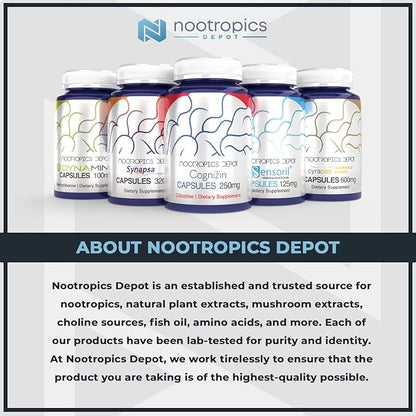 Nootropics Depot GS15-4 Panax Ginseng Extract Capsules 200mg | 60 Count