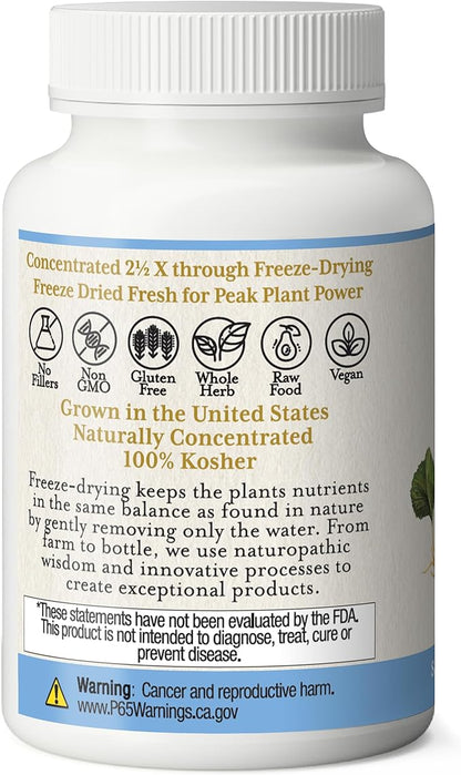 Eclectic Institute Raw Freeze-Dried Goldenseal Capsules 100 CT