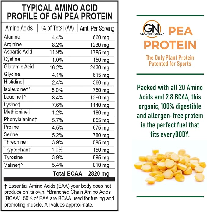 Raw Pea Protein Powder, Vegan Plant 1 Pound 1)