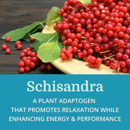 Adrenergy (12 Pack) Best Process Alkaline