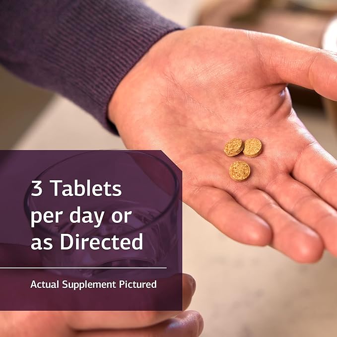 Standard Process Catalyn B6, Magnesium 90 Tablets