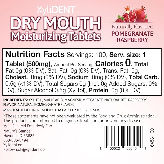 Nature's Stance XyliDENT Xylitol Tablets 100 Count