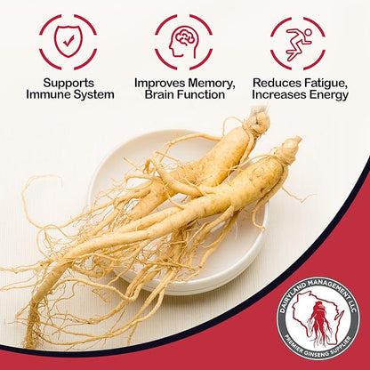 Dairyland Premium American Ginseng Powder 西洋参 4 oz