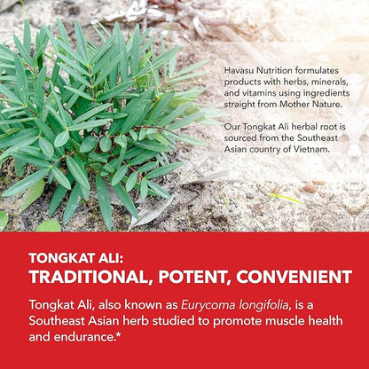 Longjack Tongkat Ali for Men - Tongkat Ali Extract 200:1, 1,250mg Per Serving - Eurycoma Longifolia Extract Supports Male Health, Performance and Energy - 2 Month Supply Long Jack Tongkat Ali Capsules
